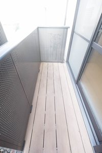 ディアハイビスカス 0101号-12