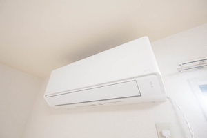 ディアハイビスカス 0101号-13