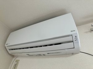 メゾンマシェリ 0102号-9