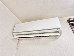 フェニックスグレートフォール B102号-12