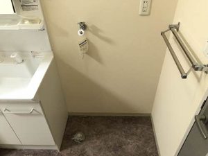 ドエル横関 0202号-9