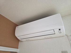 ドリームⅡ B203号-14