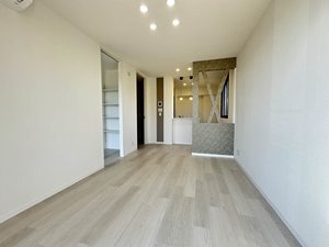 ニューシティハイツⅡ 0102号-3