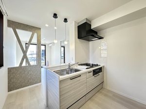 ニューシティハイツⅡ 0102号-4