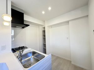 ニューシティハイツⅡ 0102号-5