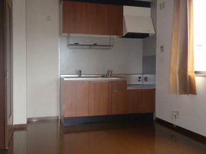 ニューシティハイツⅡ 0202号-2