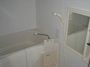 ニューシティハイツⅡ 0202号-10