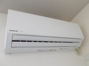 アニーカーサ 0201号-9