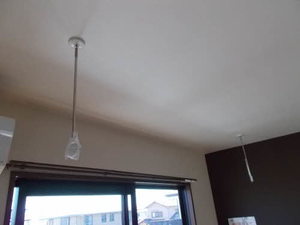 アニーカーサ 0201号-13