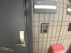 ベルドミールⅡ 2101号-2