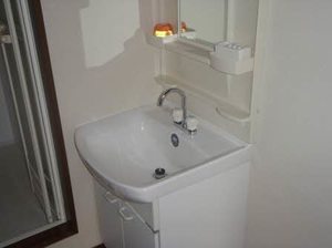 フォーレスチェリーヒルズ３番館 0202号-9