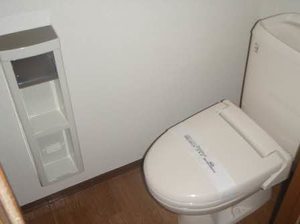 フォーレスチェリーヒルズ３番館 0202号-11