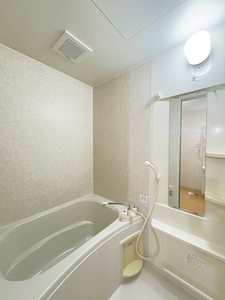 コンフィデントハイツ 0102号-11
