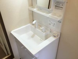 フォーレスチェリーヒルズ５番館 0102号-9