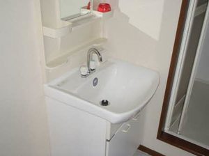 フォーレスチェリーヒルズ５番館 0201号-9