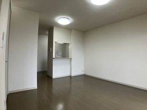 メゾン　エルピス A201号-13