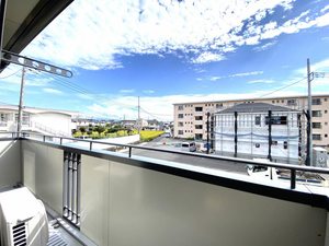 パーシモンツリー A201号-15