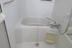 Ａｎｂｉｔｉｏｕｓ 0201号-12