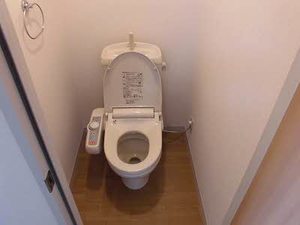 ディアスカメリア 0202号-3