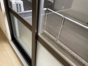 ＷＩＮＤ３５ 0102号-4