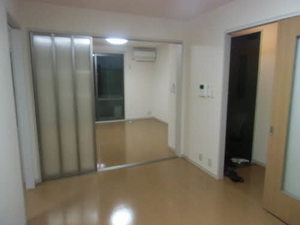 ラピスⅡ 0205号-2