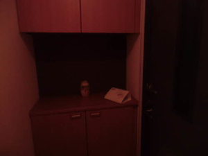 ラピスⅡ 0205号-11