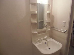 ラピスⅡ 0205号-12