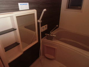 ラピスⅡ 0205号-13