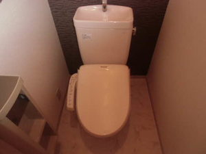 ラピスⅡ 0205号-15