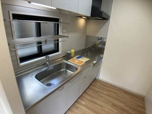 ＭＥＺＯＮシエン 0103号-5