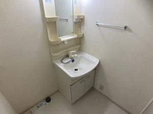 ＭＥＺＯＮシエン 0103号-7