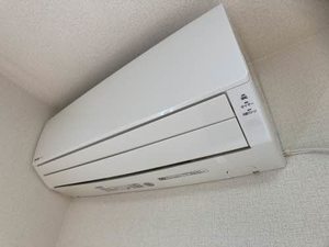 ＭＥＺＯＮシエン 0103号-13