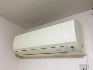 ｂｅａｍｓ B101号-11