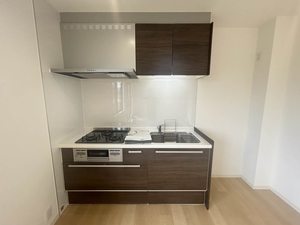 メゾン・ラフィーネ A102号-4