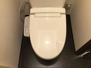 サニーハウス 0103号-11