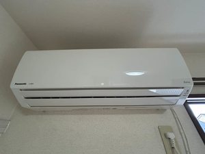 メゾン ハイネス A202号-6