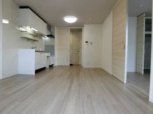 ソシア大岩 0102号-3