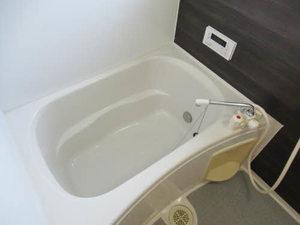 パインヒル B202号-11