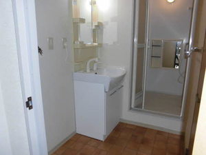 ピースフルＴ 0101号-10