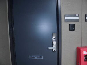 ピースフルＴ 0101号-11