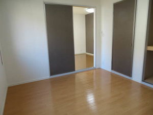 カメリア D101号-5