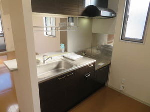 カメリア D101号-9