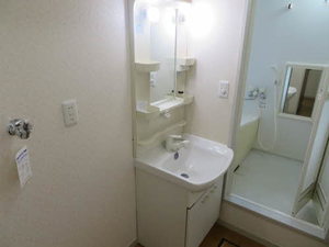 カメリア D101号-11