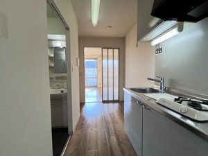 ディアス鴨田 0202号-8