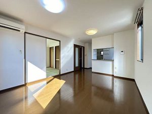 ヴェルドミールＭ B102号-3