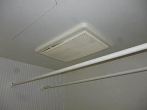 プリマヴェーラ B201号-10