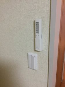 ドゥアムール B102号-7