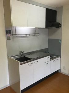 ドゥアムール B102号-10