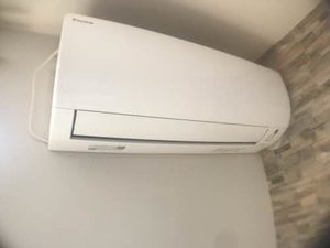 シェソワ 0101号-5