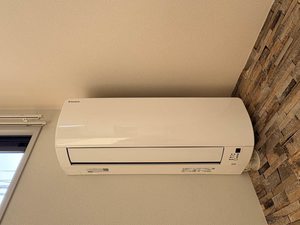 シェソワ 0101号-14